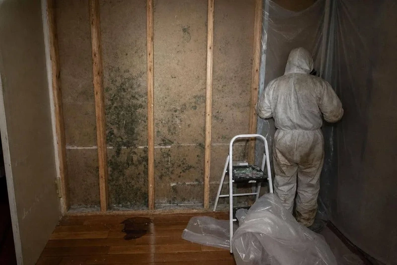 Dark black mold staining spreading across a Brooklyn bathroom ceiling near a weak exhaust fan
