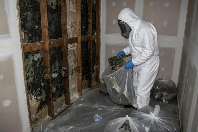 Technician removing black mold-damaged plaster and lath from a Brooklyn wall cavity
