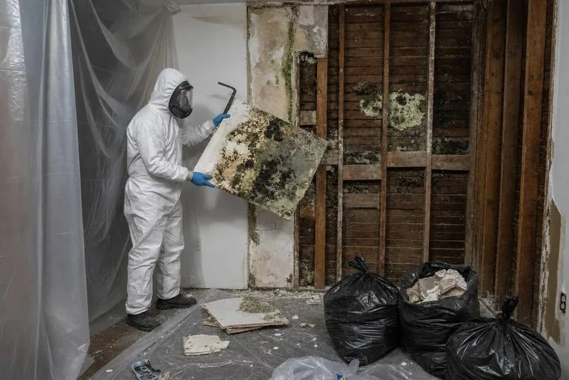 Technician cutting out mold-damaged drywall during remediation in a Brooklyn home