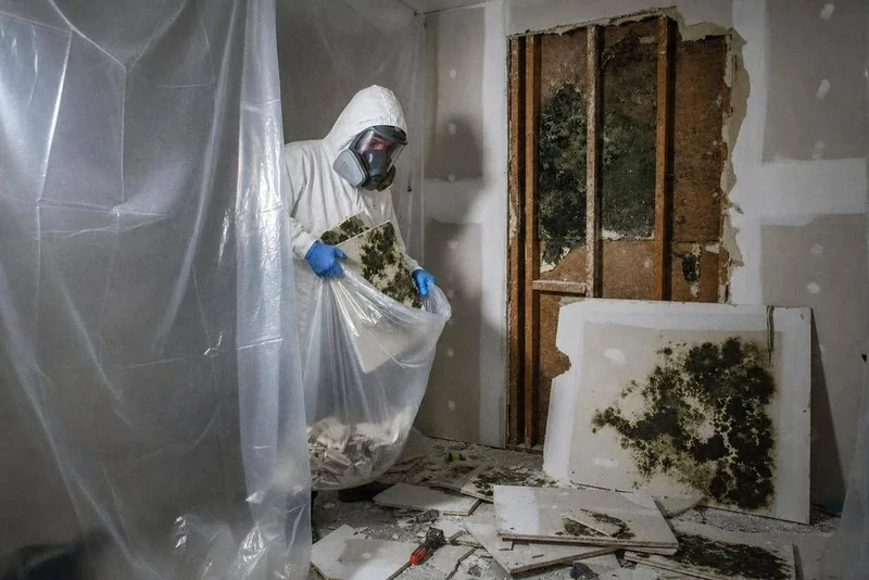 Technician bagging mold-covered drywall behind containment sheeting in a Manhattan apartment