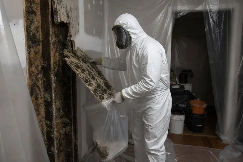 Mold Removal and Remediation in Brooklyn, NY